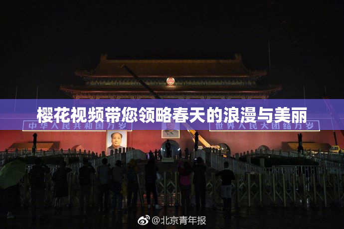 樱花视频带您领略春天的浪漫与美丽