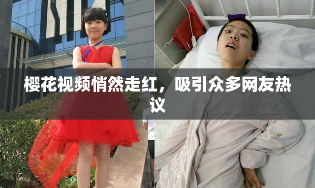 樱花视频悄然走红，吸引众多网友热议