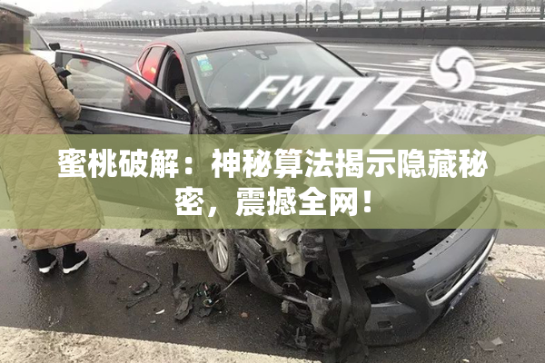 蜜桃破解：神秘算法揭示隐藏秘密，震撼全网！