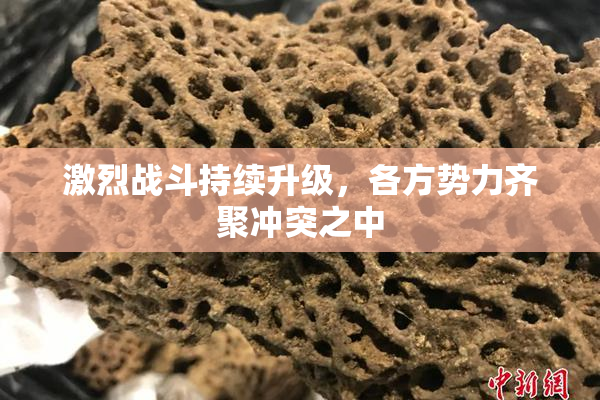 激烈战斗持续升级，各方势力齐聚冲突之中