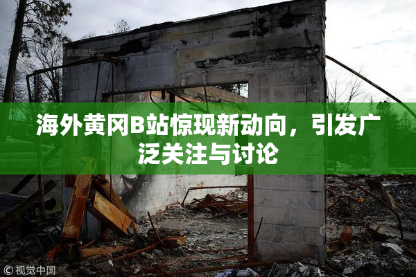 海外黄冈B站惊现新动向，引发广泛关注与讨论