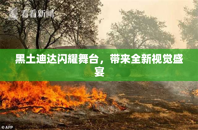黑土迪达闪耀舞台，带来全新视觉盛宴