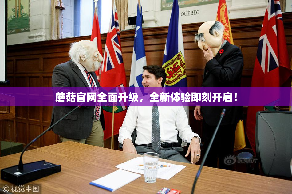 蘑菇官网全面升级，全新体验即刻开启！