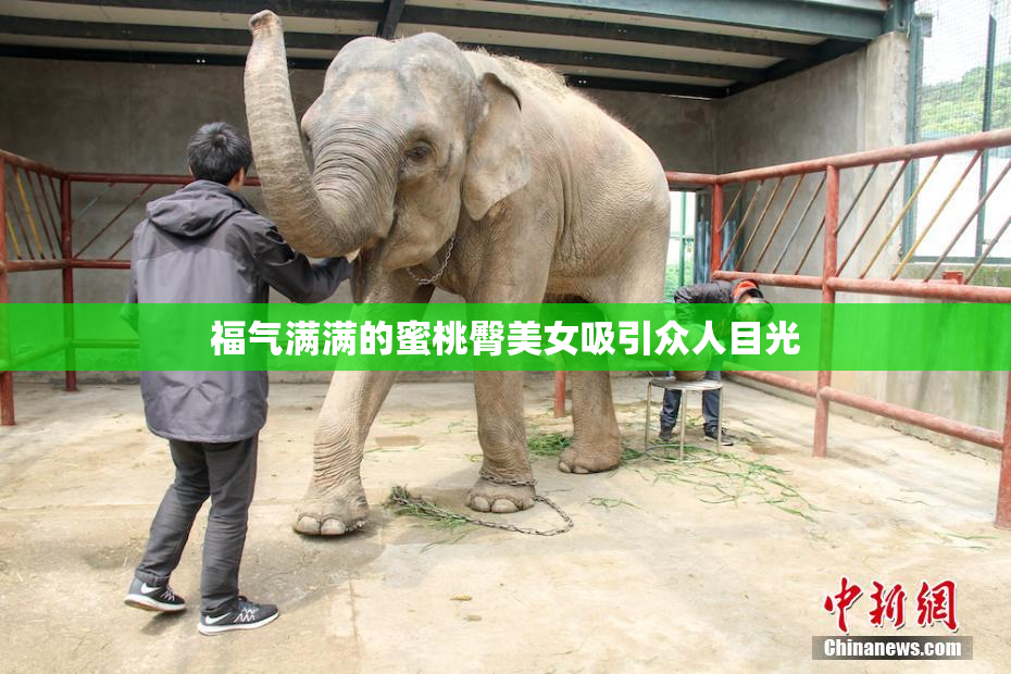 福气满满的蜜桃臀美女吸引众人目光