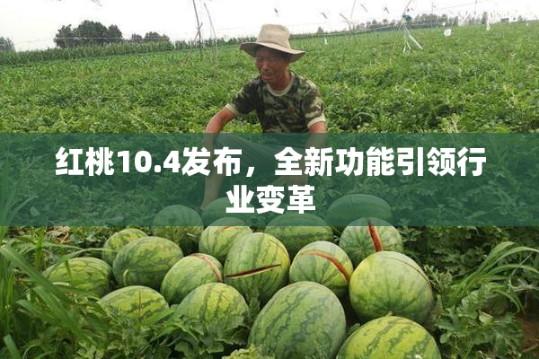 红桃10.4发布，全新功能引领行业变革