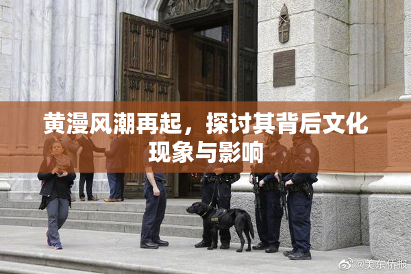 黄漫风潮再起，探讨其背后文化现象与影响