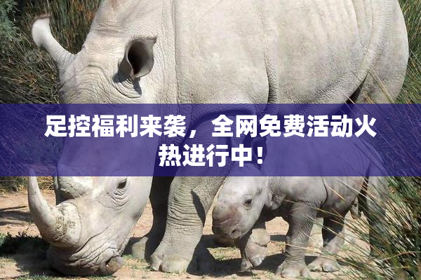 足控福利来袭，全网免费活动火热进行中！