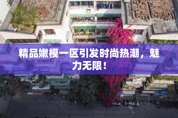 精品嫩模一区引发时尚热潮，魅力无限！