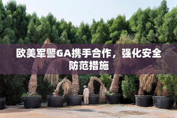 欧美军警GA携手合作，强化安全防范措施