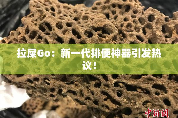 拉屎Go：新一代排便神器引发热议！