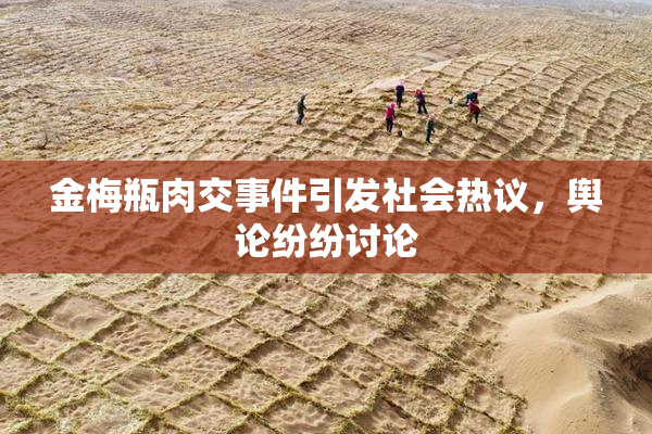 金梅瓶肉交事件引发社会热议，舆论纷纷讨论