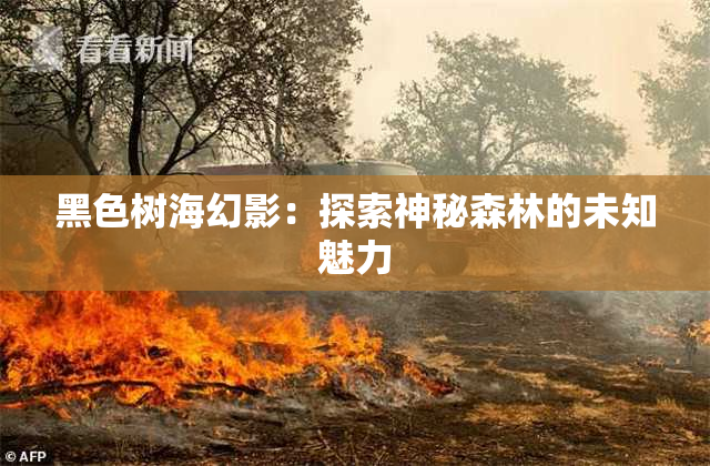 黑色树海幻影：探索神秘森林的未知魅力