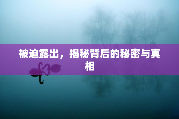 被迫露出，揭秘背后的秘密与真相
