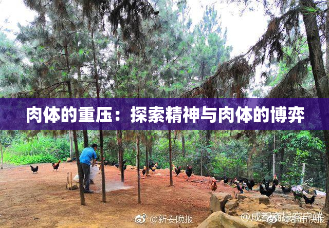 肉体的重压：探索精神与肉体的博弈