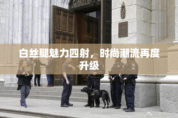 白丝腿魅力四射，时尚潮流再度升级