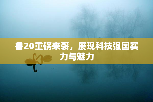 鲁20重磅来袭，展现科技强国实力与魅力