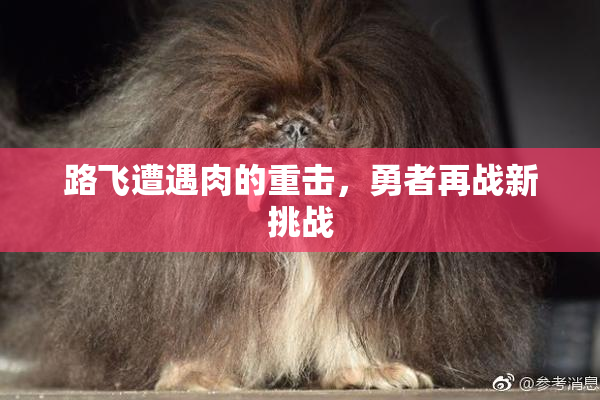 路飞遭遇肉的重击，勇者再战新挑战