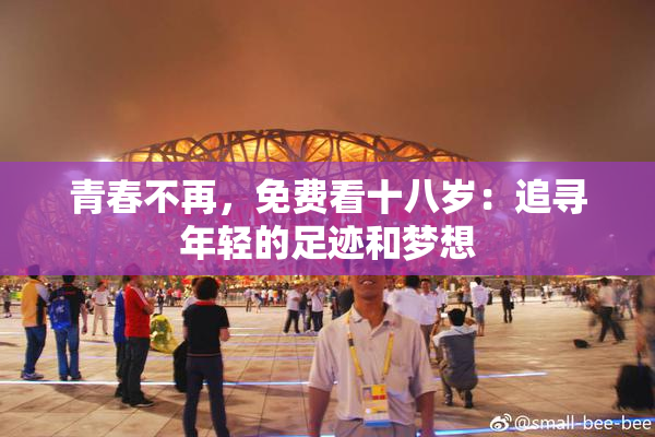 青春不再，免费看十八岁：追寻年轻的足迹和梦想