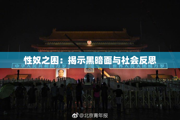 性奴之困：揭示黑暗面与社会反思