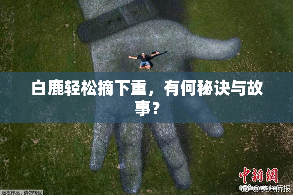 白鹿轻松摘下重，有何秘诀与故事？