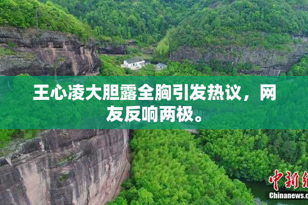 王心凌大胆露全胸引发热议，网友反响两极。