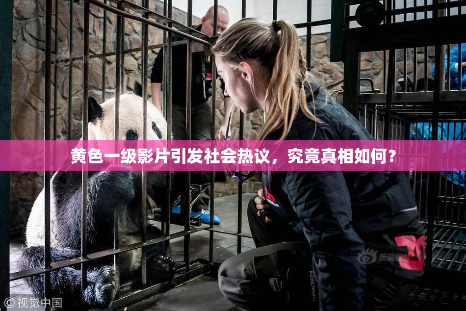 黄色一级影片引发社会热议，究竟真相如何？