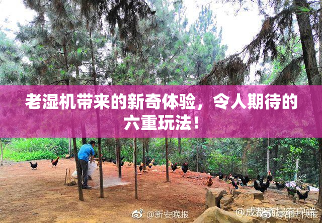 老湿机带来的新奇体验，令人期待的六重玩法！