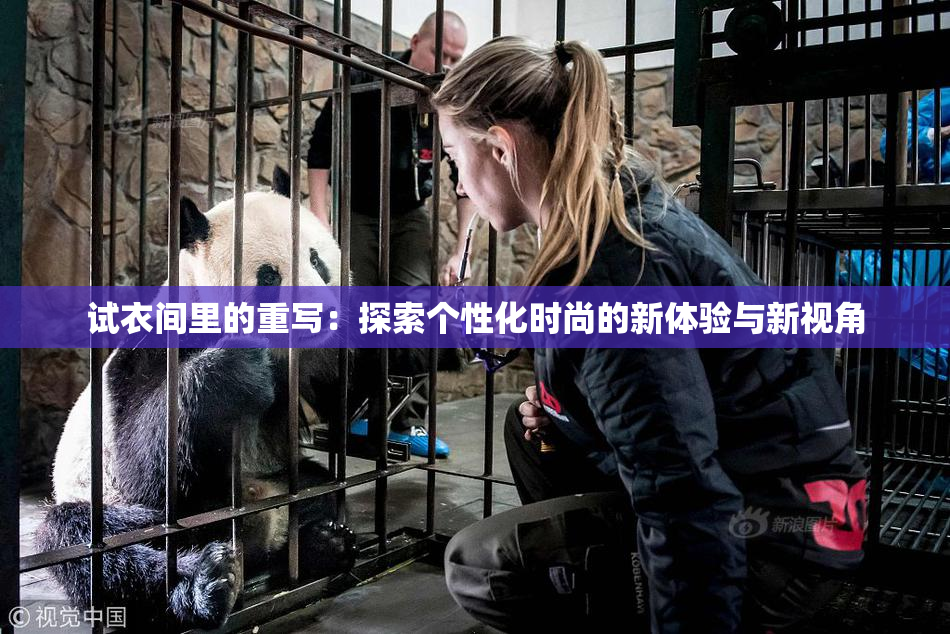 试衣间里的重写：探索个性化时尚的新体验与新视角