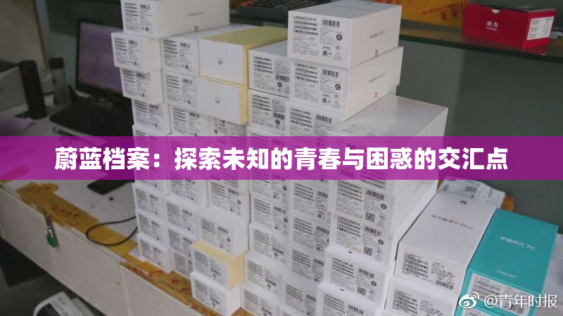 蔚蓝档案：探索未知的青春与困惑的交汇点