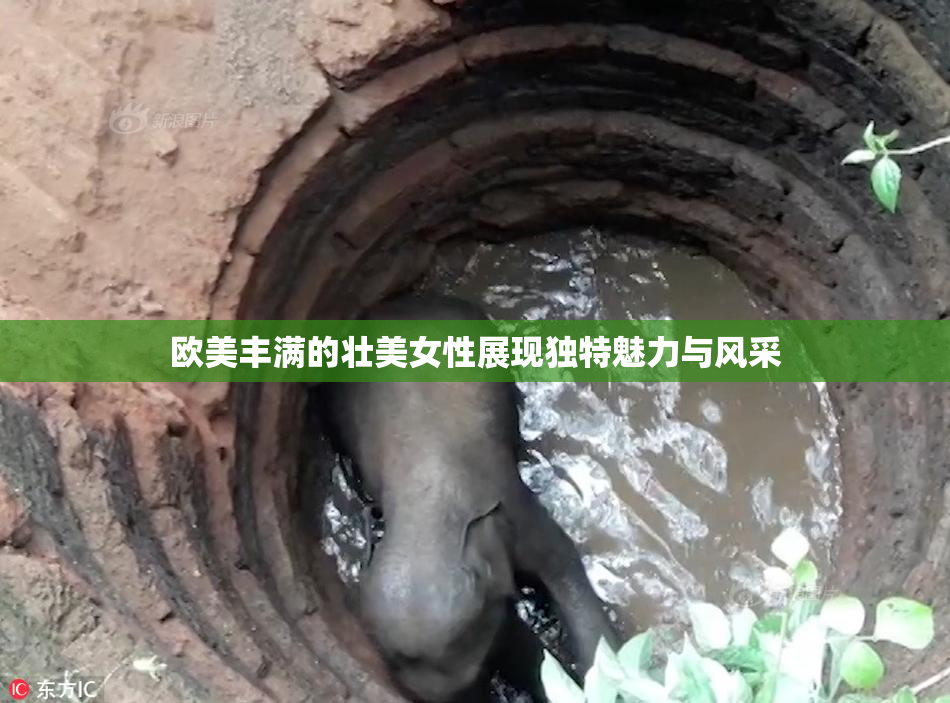欧美丰满的壮美女性展现独特魅力与风采