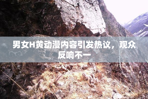 男女H黄动漫内容引发热议，观众反响不一