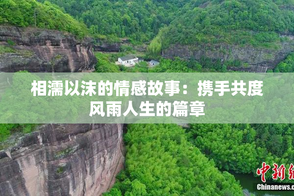 相濡以沫的情感故事：携手共度风雨人生的篇章