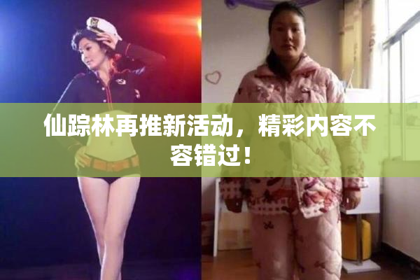 仙踪林再推新活动，精彩内容不容错过！