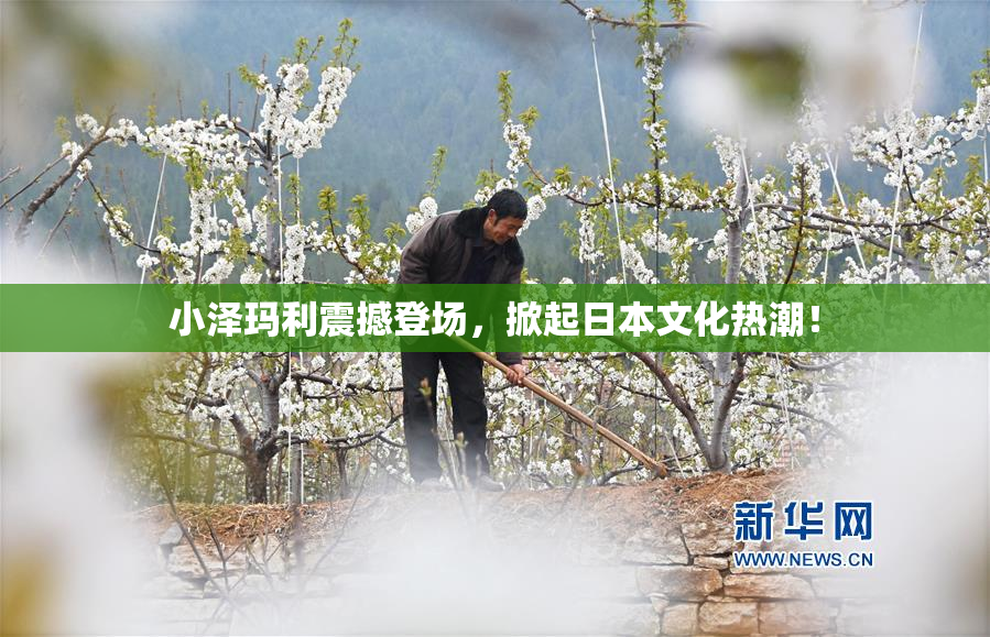 小泽玛利震撼登场，掀起日本文化热潮！