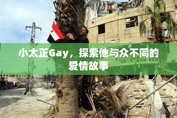 小太正Gay，探索他与众不同的爱情故事