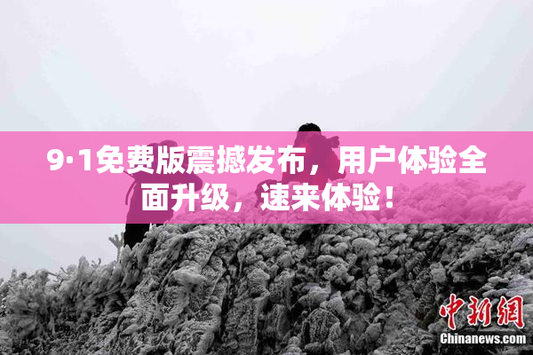 9·1免费版震撼发布，用户体验全面升级，速来体验！
