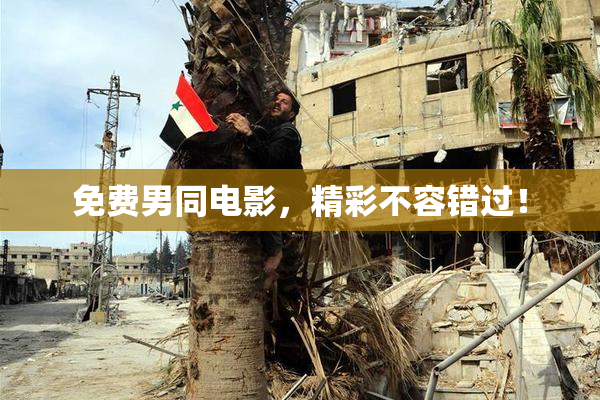 免费男同电影，精彩不容错过！