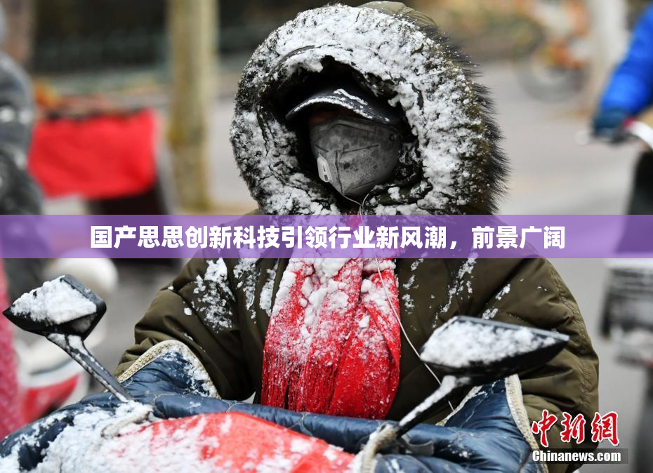 国产思思创新科技引领行业新风潮，前景广阔