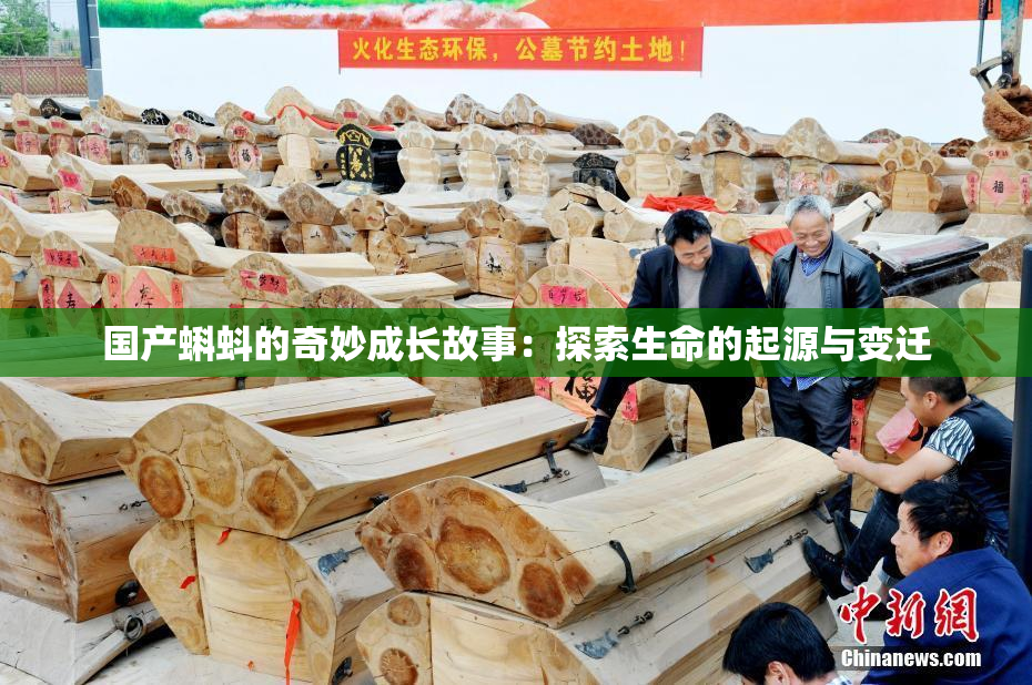 国产蝌蚪的奇妙成长故事：探索生命的起源与变迁