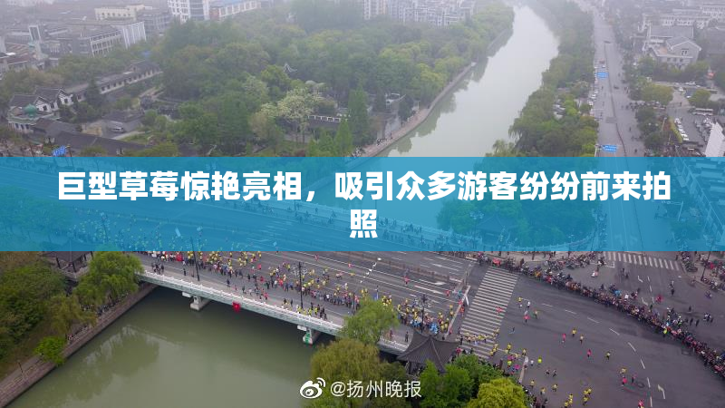 巨型草莓惊艳亮相，吸引众多游客纷纷前来拍照