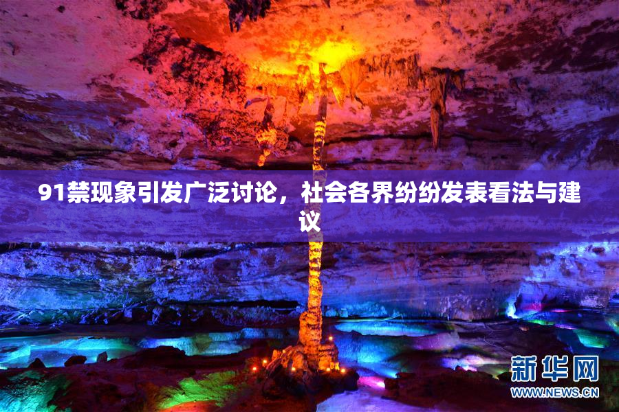 91禁现象引发广泛讨论，社会各界纷纷发表看法与建议