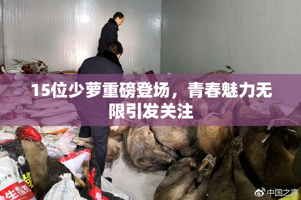 15位少萝重磅登场，青春魅力无限引发关注