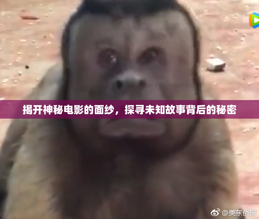 揭开神秘电影的面纱，探寻未知故事背后的秘密