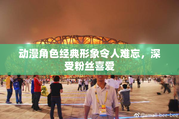 动漫角色经典形象令人难忘，深受粉丝喜爱