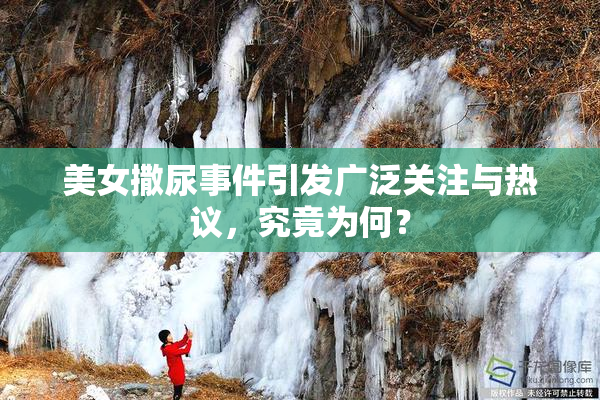 美女撒尿事件引发广泛关注与热议，究竟为何？