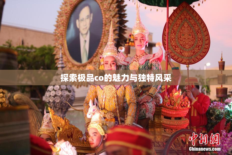 探索极品co的魅力与独特风采