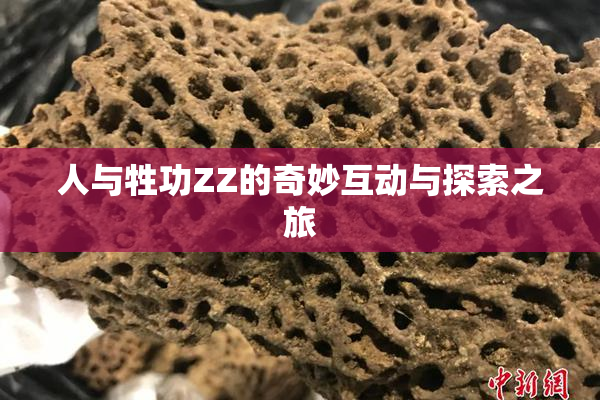 人与牲功ZZ的奇妙互动与探索之旅
