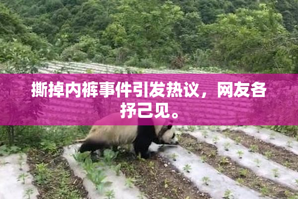 撕掉内裤事件引发热议，网友各抒己见。