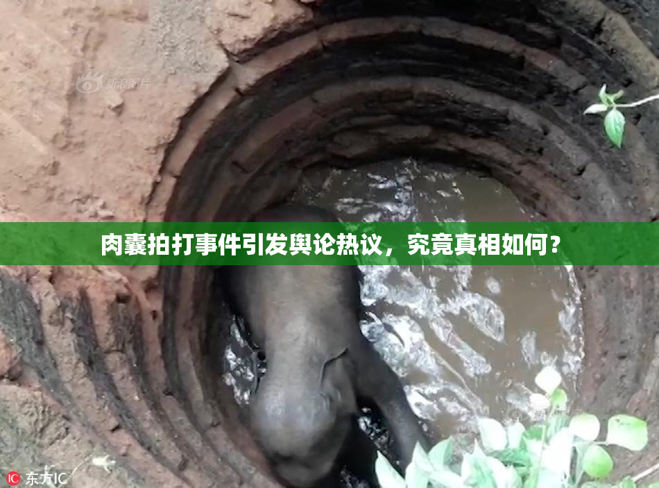肉囊拍打事件引发舆论热议，究竟真相如何？