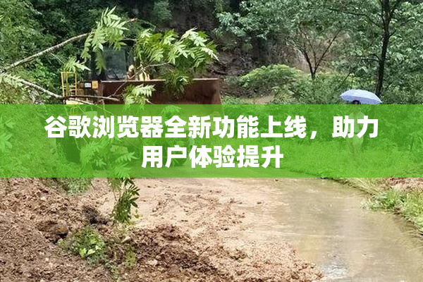 谷歌浏览器全新功能上线，助力用户体验提升